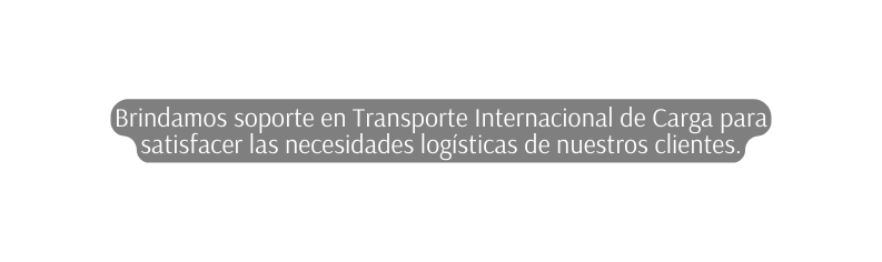 Brindamos soporte en Transporte Internacional de Carga para satisfacer las necesidades logísticas de nuestros clientes